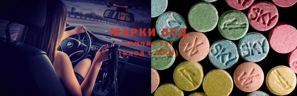 ECSTASY Белокуриха